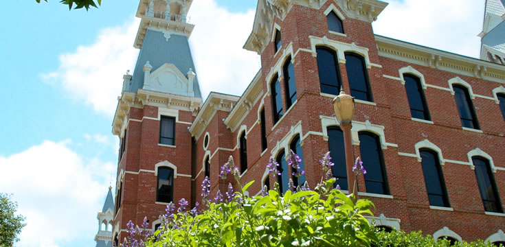 在线DDOS攻击平台